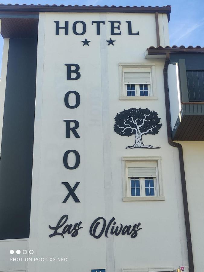 Aparthotel Las Olivas- Borox à Seseña Nuevo Extérieur photo