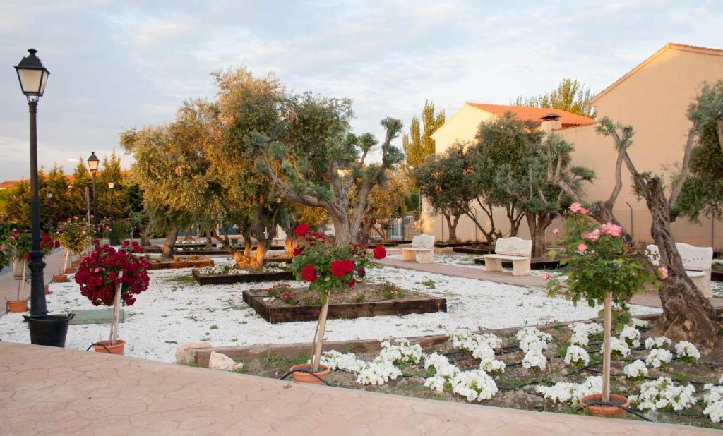 Aparthotel Las Olivas- Borox à Seseña Nuevo Extérieur photo